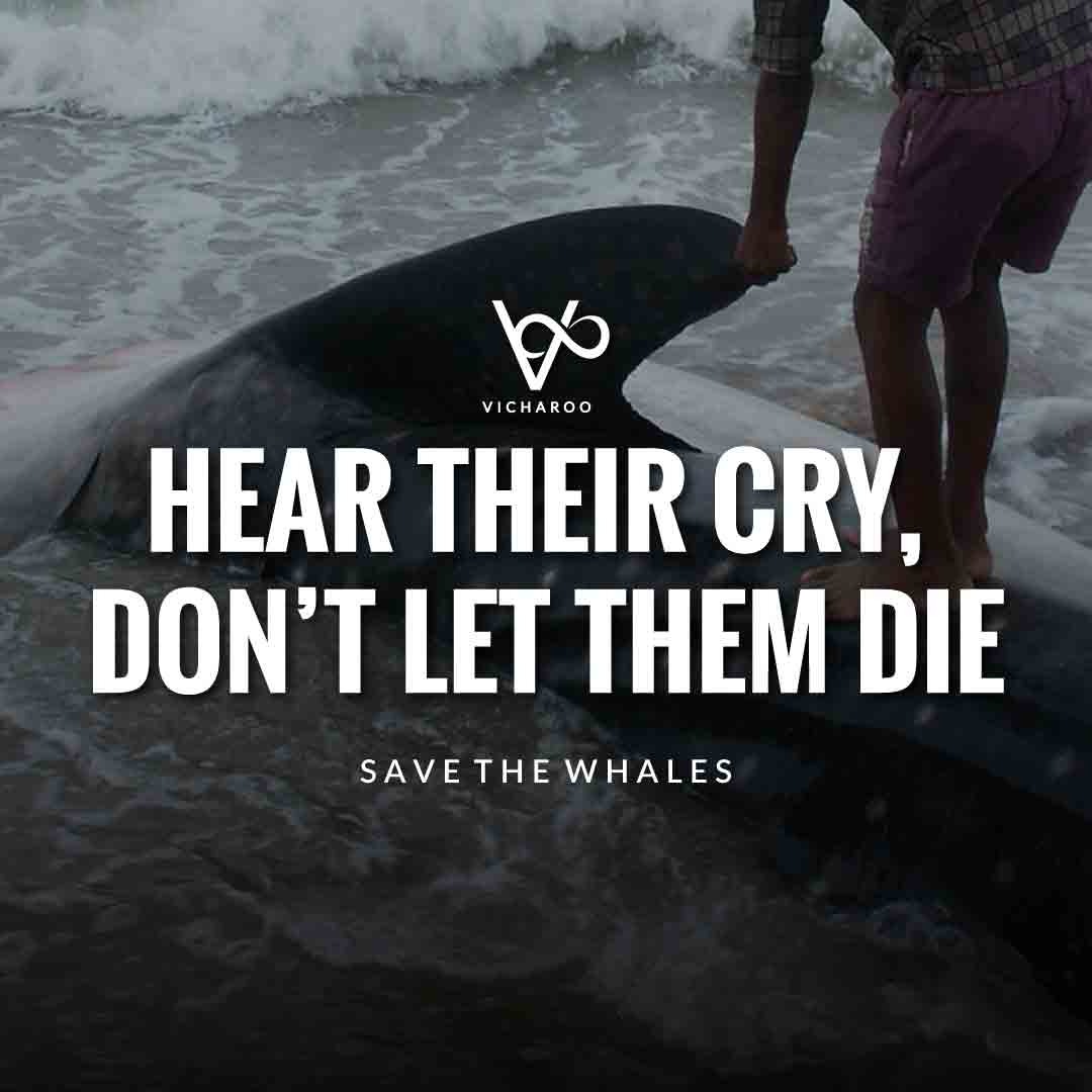 Hear their cry, don’t let them die | Save Whales Slogans | World Whale Day