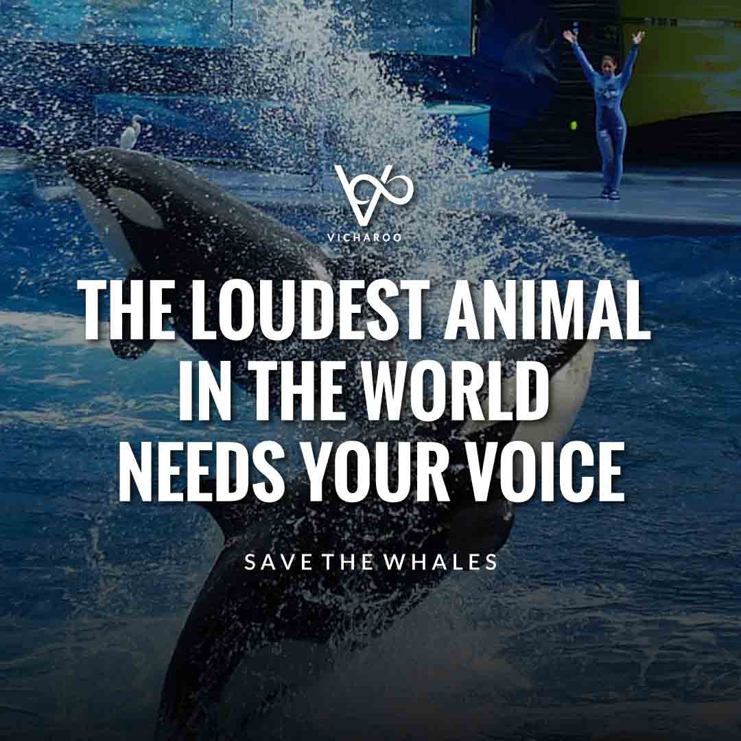 The loudest animal in the world needs your voice | Save Whales Slogans | World Orca Day