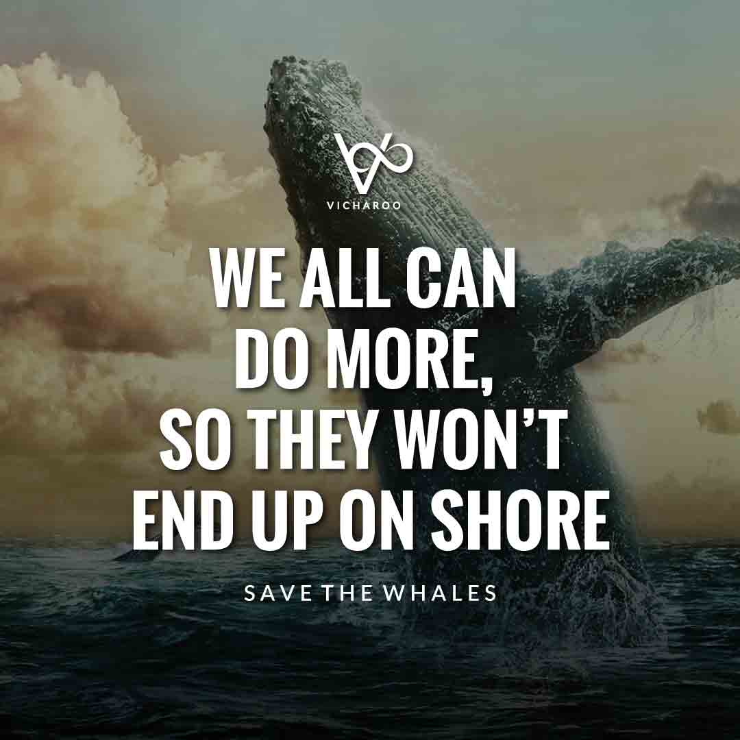 We all can do more, so they won’t end up on shore | Save Whales Slogans | World Whale Day