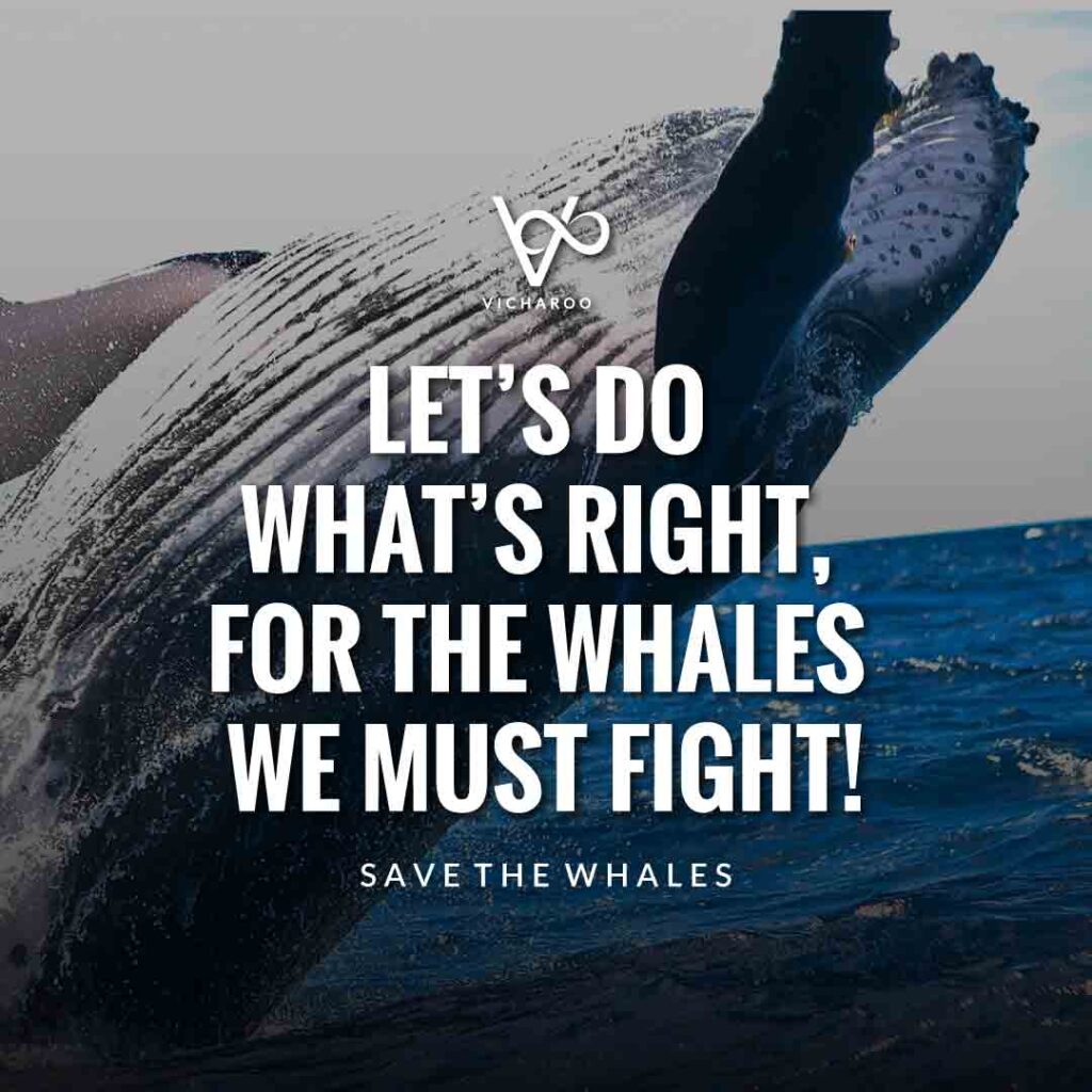 Let’s do what’s right, for the whales we must fight! | Save Whales Slogans | World Whale Day