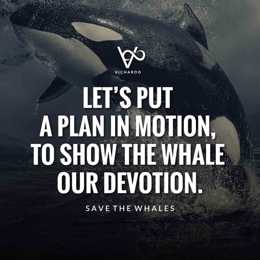 Let’s put a plan in motion, to show the whale our devotion | Save Whales Slogans | World Orca Day