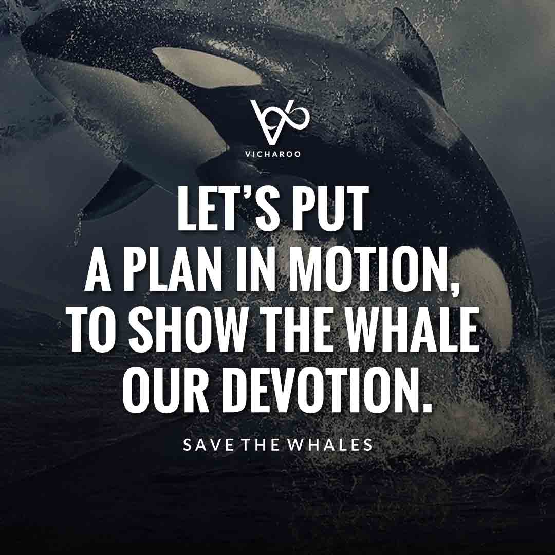 Let’s put a plan in motion, to show the whale our devotion | Save Whales Slogans | World Orca Day