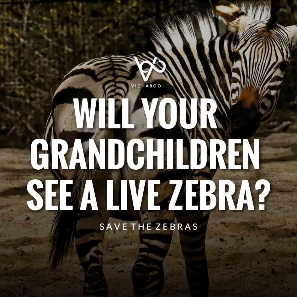 Will your grandchildren see a live Zebra? | Save Zebras Slogans and Quotes | International Zebra Day