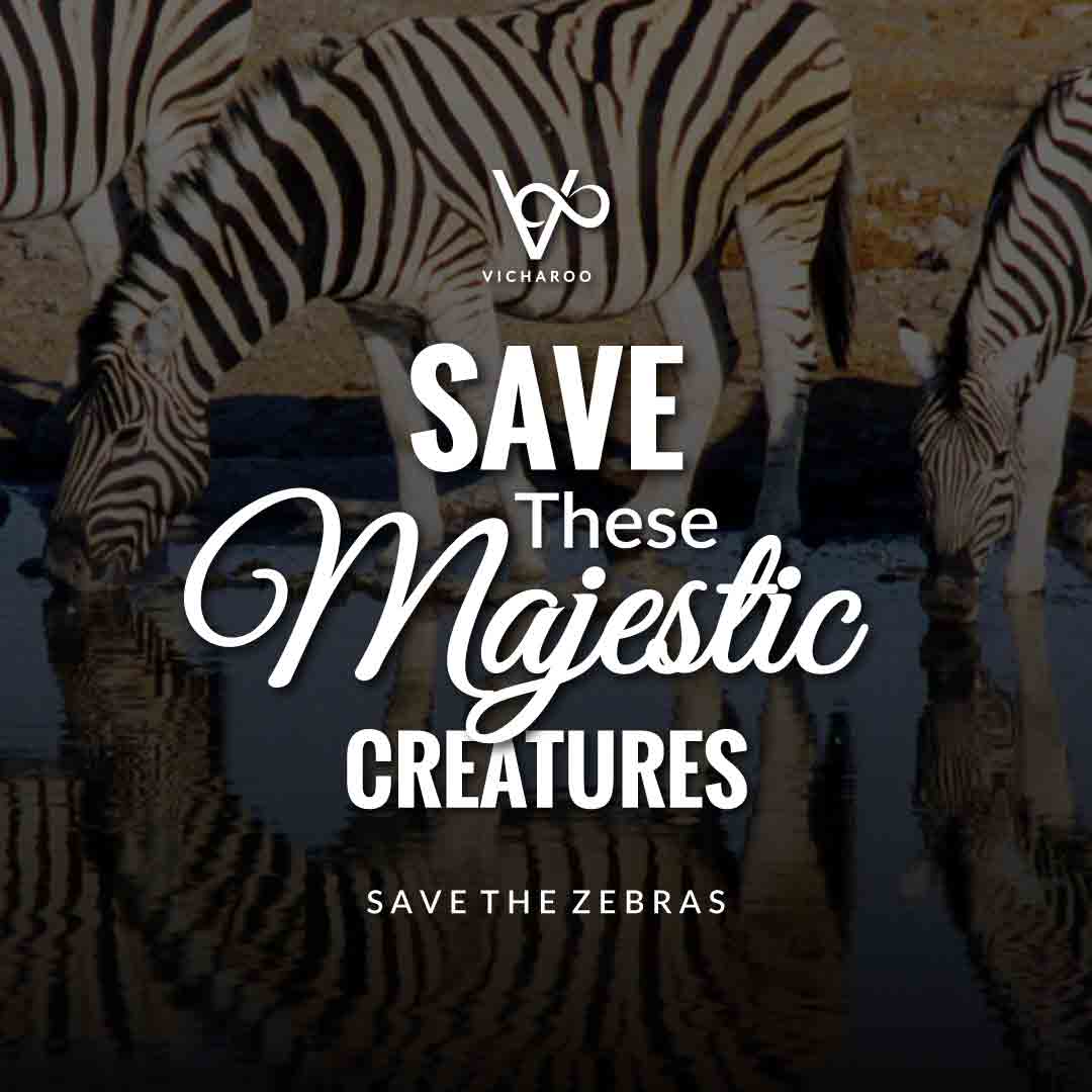 Save these majestic creatures | Save Zebras Slogans and Quotes | International Zebra Day