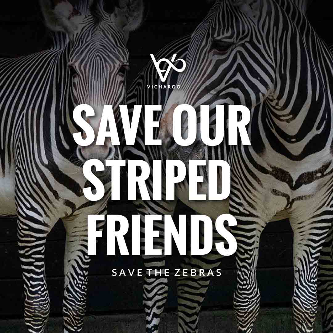 Save our striped friends | Save Zebras Slogans and Quotes | International Zebra Day