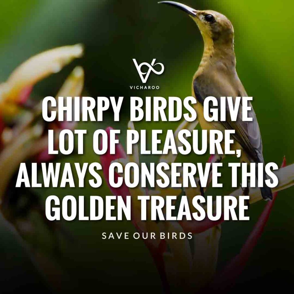 Chirpy birds give lot of pleasure, always conserve this golden treasure | Save Birds Slogans | National Wild Bird Day | Birds and Trees Day