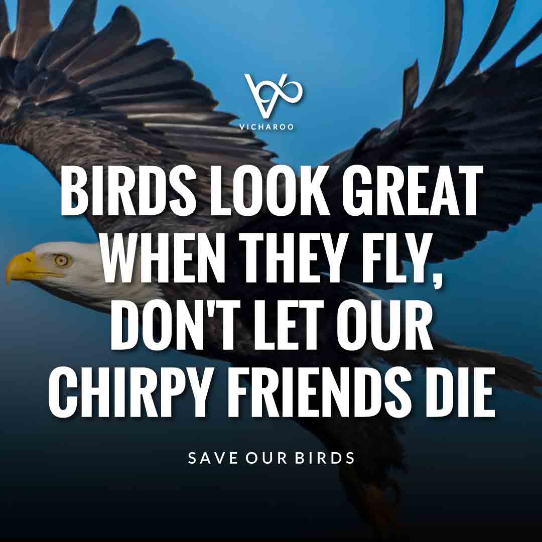 Birds look great when they fly, don't let our chirpy friends die | Save Birds Slogans | National Wild Bird Day | Birds and Trees Day