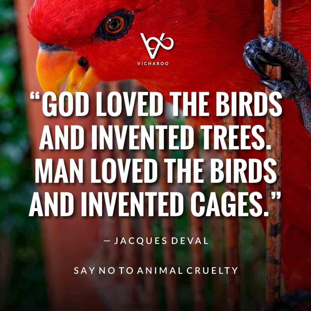 "God loved the birds and invented trees. Man loved the birds and invented cages." — Jacques Deval | Save Birds Slogans | National Wild Bird Day | Birds and Trees Day