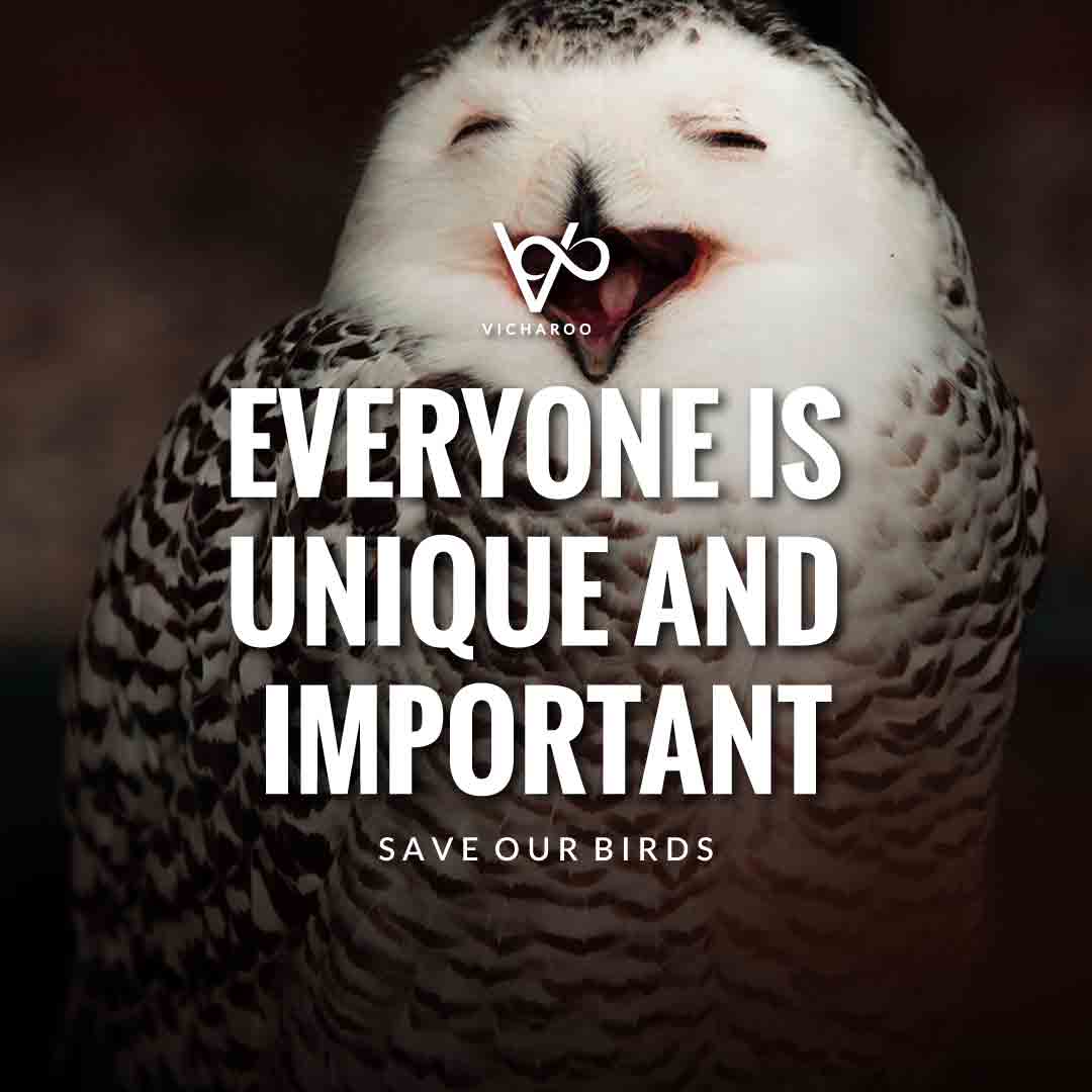 Everyone is unique and important | Save Birds Slogans | National Wild Bird Day | Birds and Trees Day