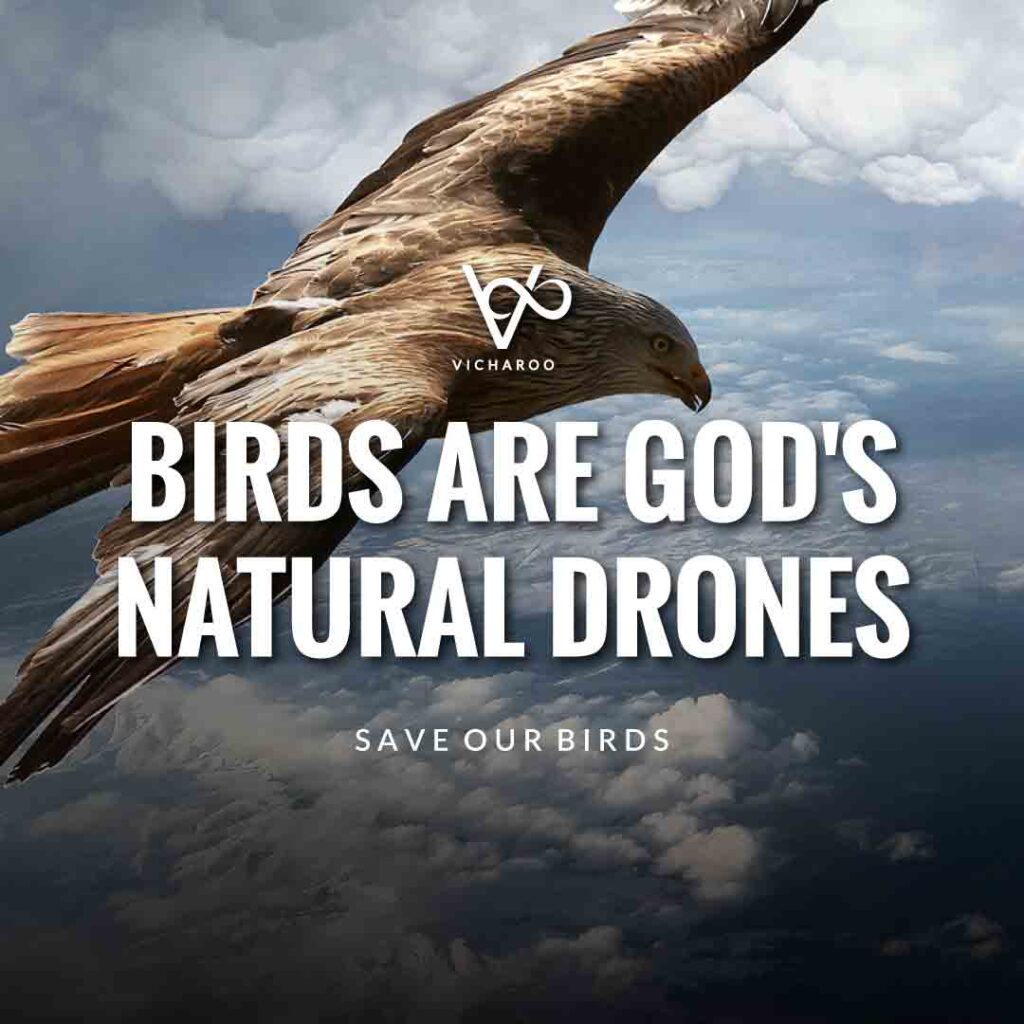 Birds are God's natural drones | Save Birds Slogans | National Wild Bird Day | Birds and Trees Day