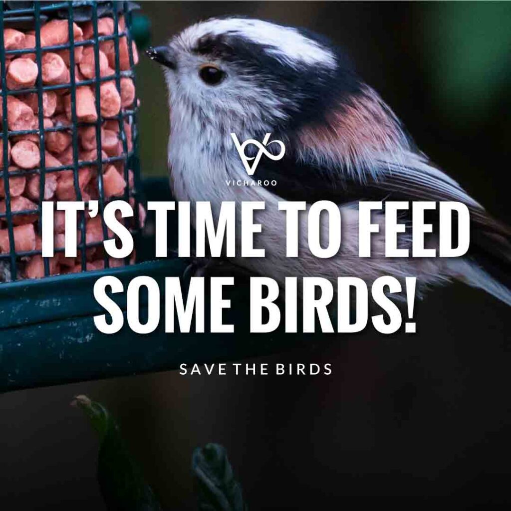 It’s time to feed some birds! | Save Birds Slogans | National Wild Bird Day | Birds and Trees Day