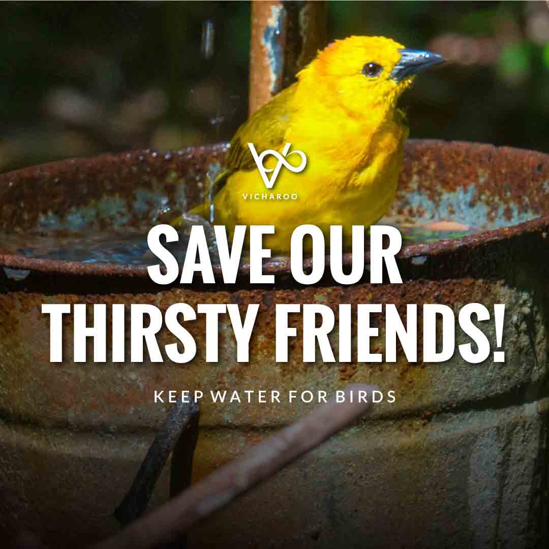 Save our thirsty friends! | National Wild Bird Day | Birds and Trees Day Slogans