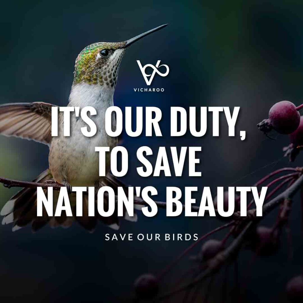 It's our duty, to save nation's beauty | Save Birds Slogans | National Wild Bird Day | Birds and Trees Day