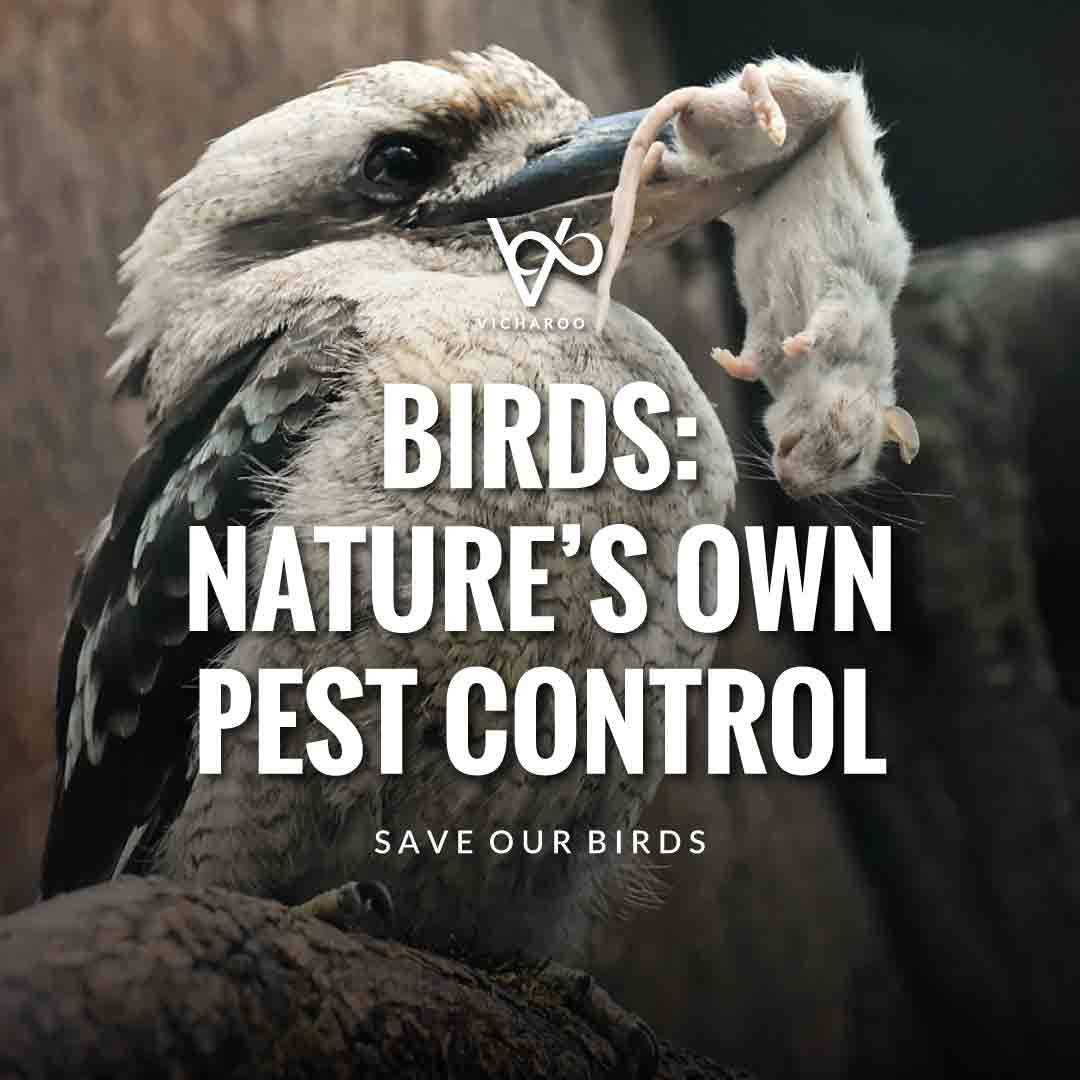 Birds: Nature’s own pest control | Save Birds Slogans | National Wild Bird Day | Birds and Trees Day