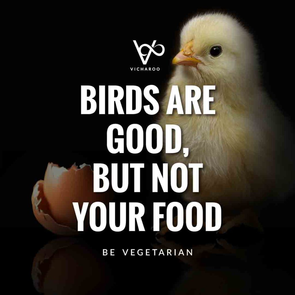 Birds are good, but not your food | Save Birds Slogans | National Wild Bird Day | Birds and Trees Day | World Vegan Day