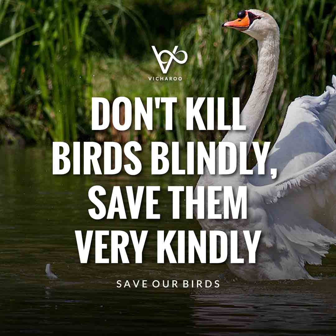 Don't kill birds blindly, save them very kindly | Save Birds Slogans | National Wild Bird Day | Birds and Trees Day