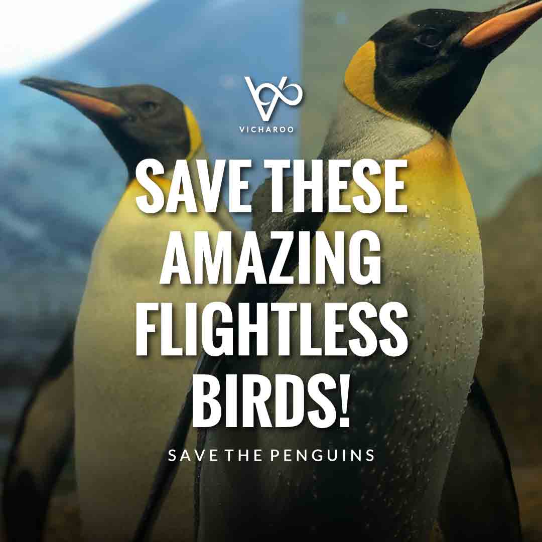 Save these amazing flightless birds! | Save Penguins Slogans and Quotes | National Penguin Awareness Day | World Penguin Day