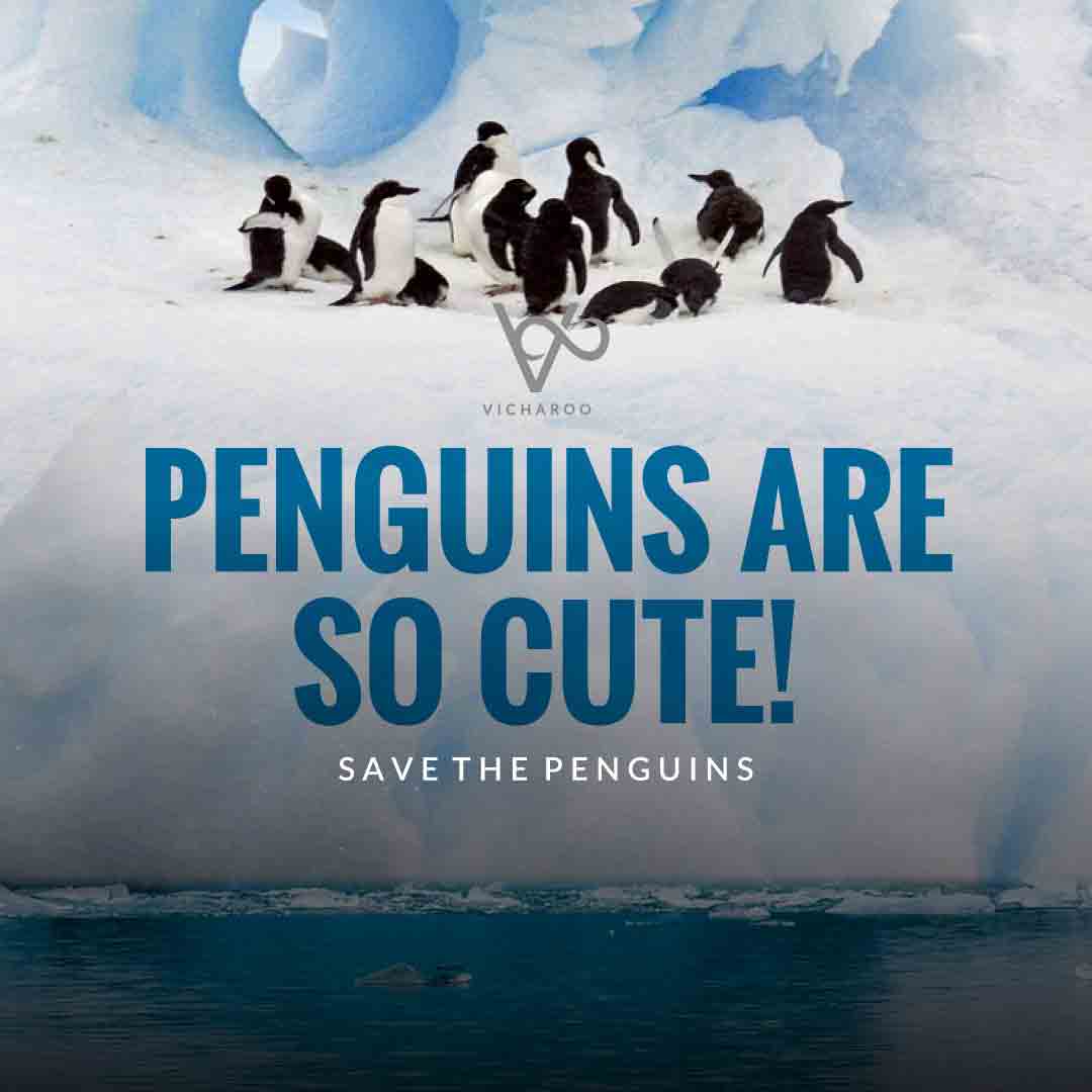Penguins are so cute! | Save Penguins Slogans and Quotes | National Penguin Awareness Day | World Penguin Day