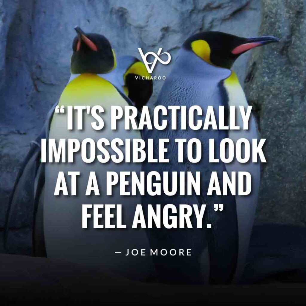 "It's practically impossible to look at a penguin and feel angry." — Joe Moore | Save Penguins Slogans and Quotes | National Penguin Awareness Day | World Penguin Day