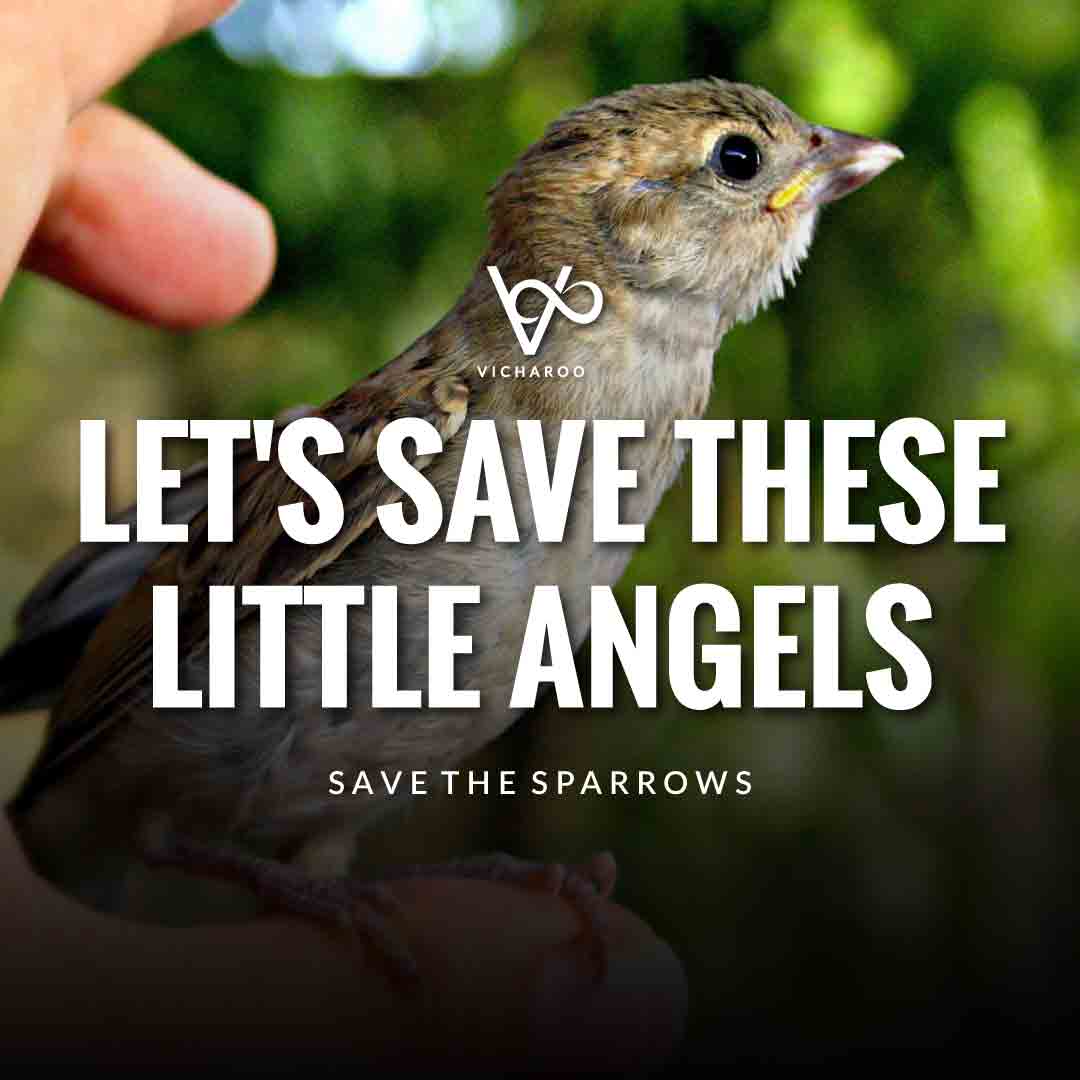 Let's save these little angels | Save Sparrows Slogans | World Sparrow Day