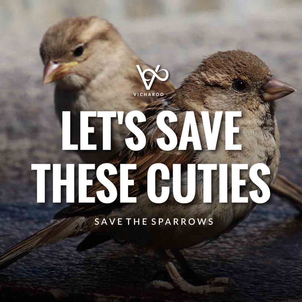 Let's save these Cuties | Save Sparrows Slogans | World Sparrow Day