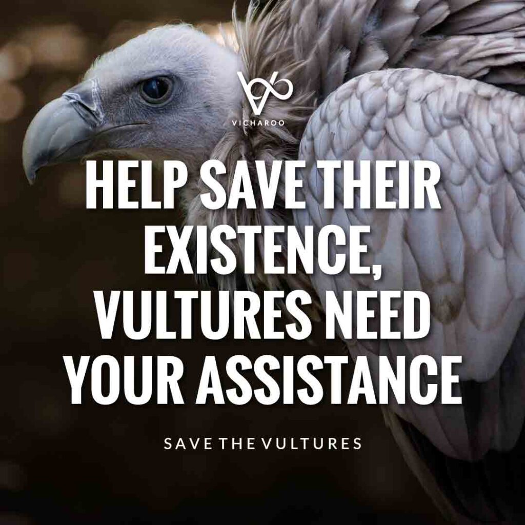 Help save their existence, vultures need your assistance | International Vulture Awareness Day Slogans & Quotes