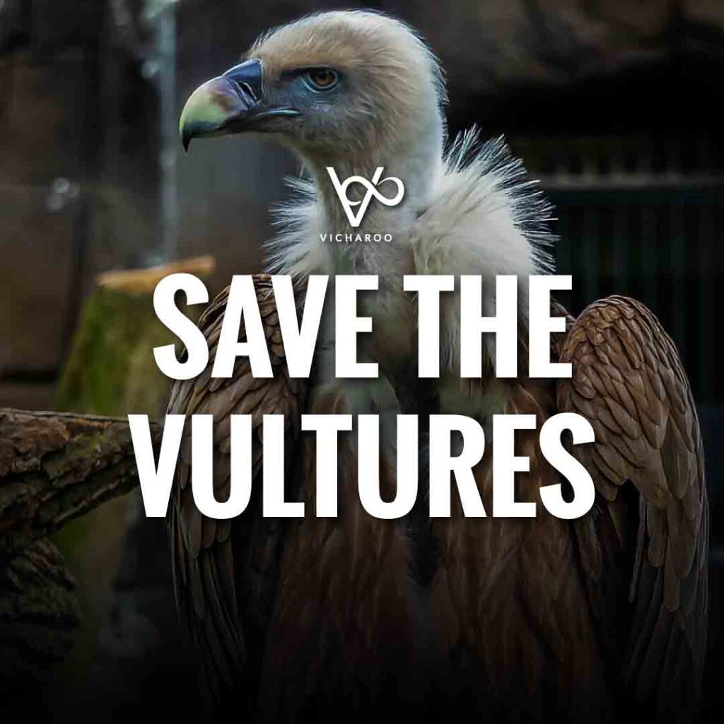 Save the Vultures Slogans & Quotes | International Vulture Awareness Day