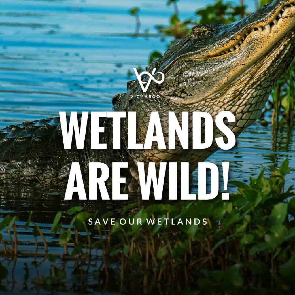 Wetlands are wild | Save Wetlands Slogans | World Wetlands Day