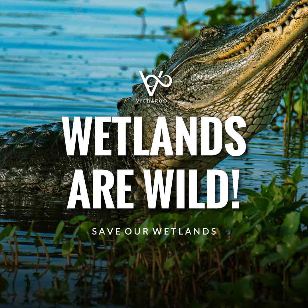 Wetlands are wild | Save Wetlands Slogans | World Wetlands Day