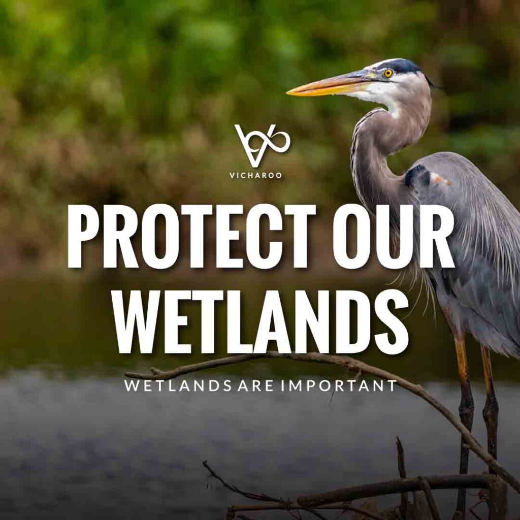 Protect our wetlands | Save Wetlands Slogans | World Wetlands Day