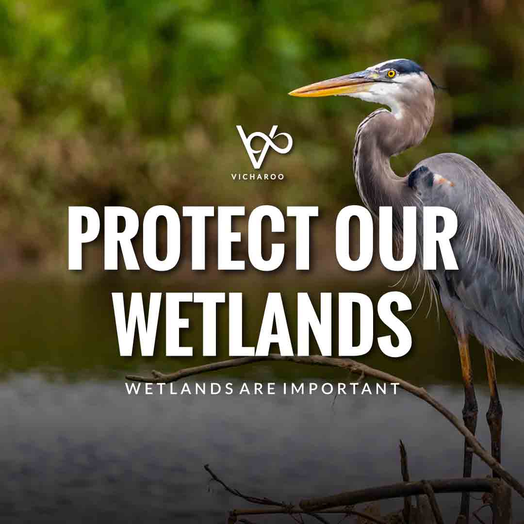Protect our wetlands | Save Wetlands Slogans | World Wetlands Day