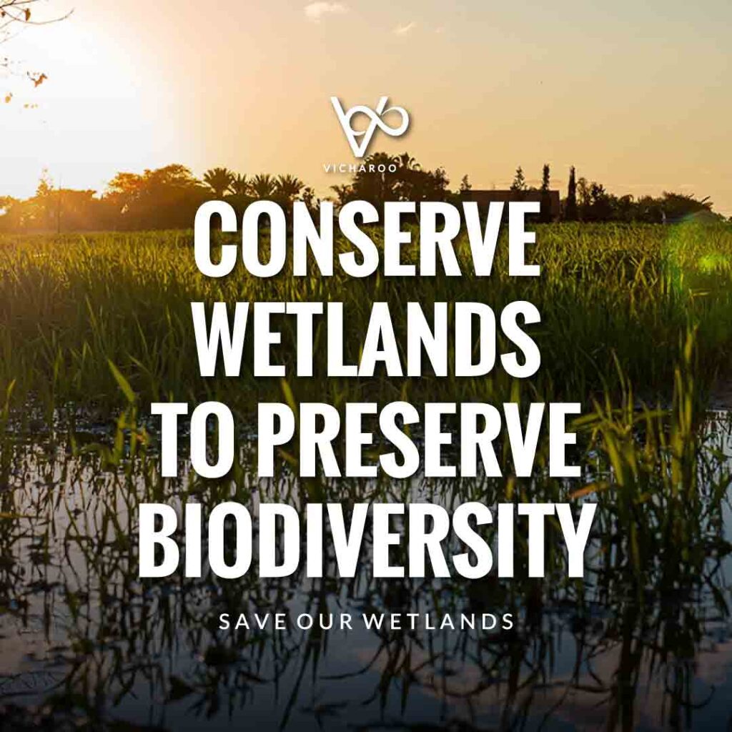 Conserve wetlands to preserve biodiversity | Save Wetlands Slogans | World Wetlands Day
