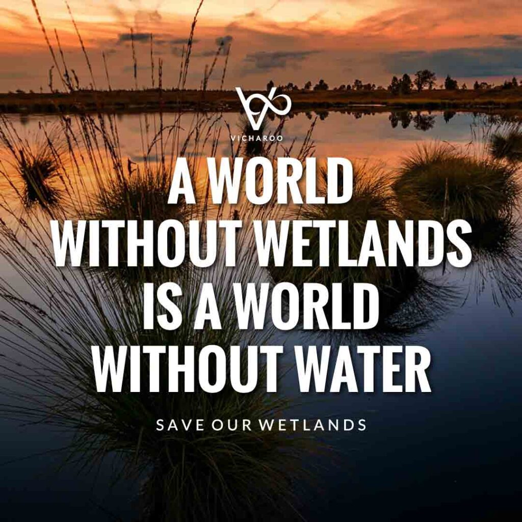 A world without wetlands is a world without water | Save Wetlands Slogans | World Wetlands Day