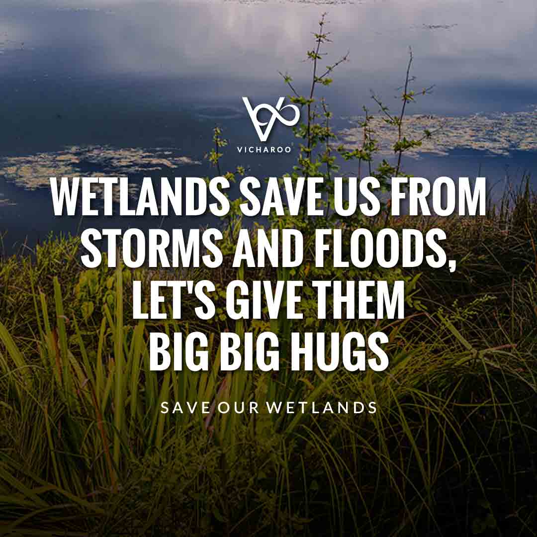 Wetlands save us from storms and floods, let's give them big big hugs | Save Wetlands Slogans | World Wetlands Day