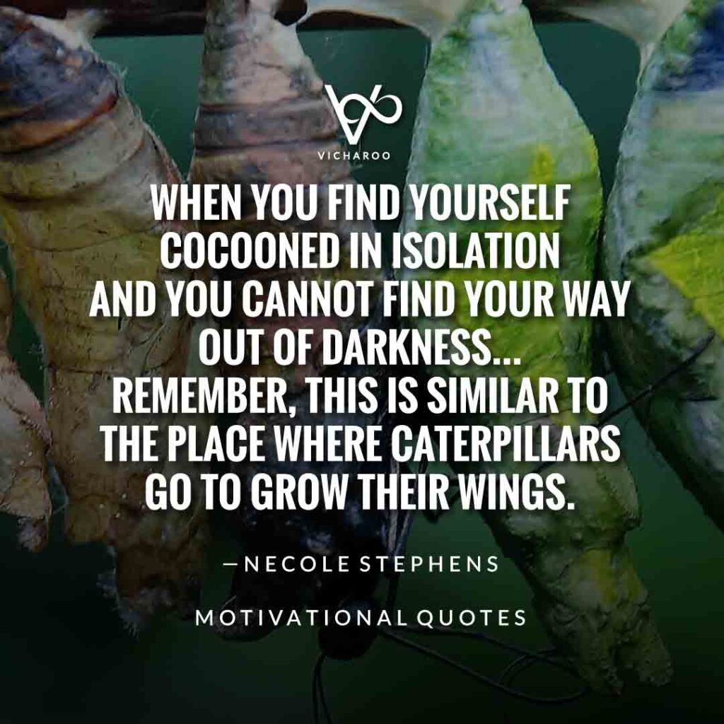 When you find yourself cocooned in isolation and you cannot find your way out of darkness…Remember, this is similar to the place where caterpillars go to grow their wings. — Necole Stephens | Save Butterfly Slogans and Quotes | National Learn About Butterflies Day