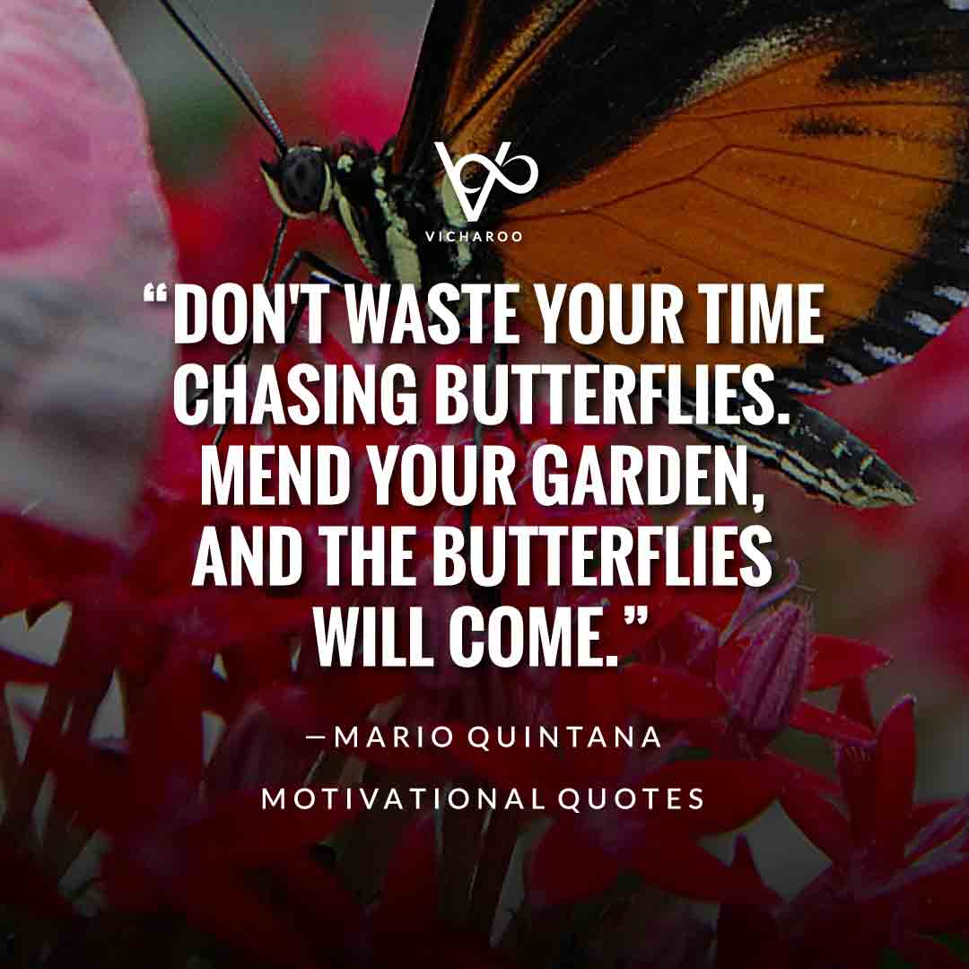 Don't waste your time chasing butterflies. Mend your garden, and the butterflies will come. — Mario Quintana | Save Butterfly Slogans and Quotes | National Learn About Butterflies Day