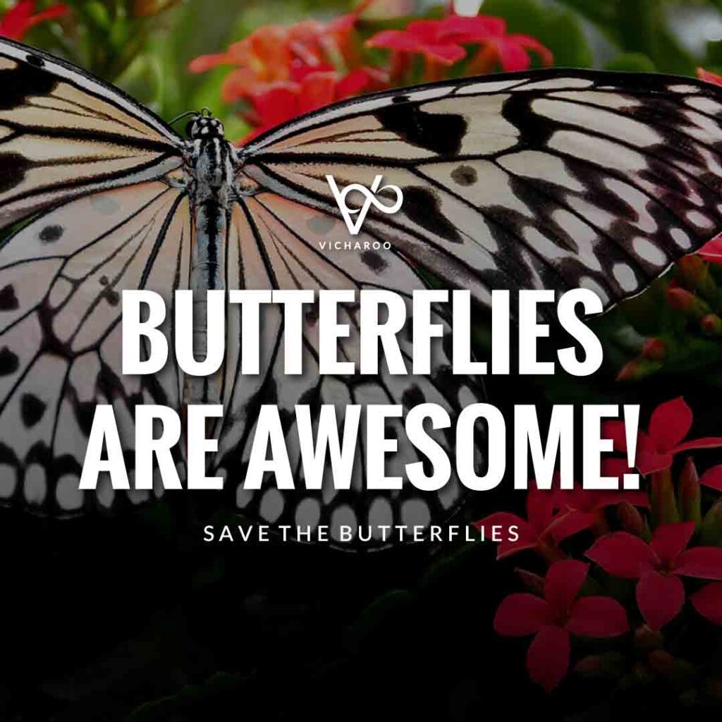 Butterflies are awesome! | Save Butterfly Slogans and Quotes | National Learn About Butterflies Day