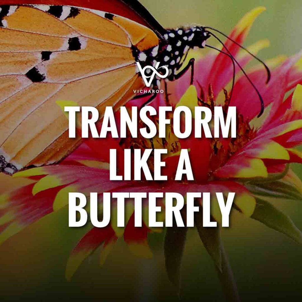 Transform like a butterfly | Save Butterfly Slogans and Quotes | National Learn About Butterflies Day