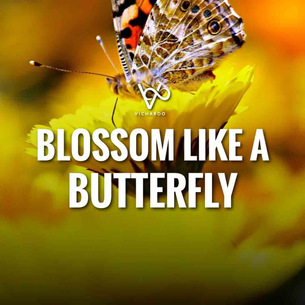 Blossom like a butterfly | Save Butterfly Slogans and Quotes | National Learn About Butterflies Day