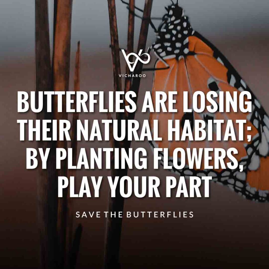 Butterflies are losing their natural habitat; by planting flowers, play your part | Save Butterfly Slogans and Quotes | National Learn About Butterflies Day