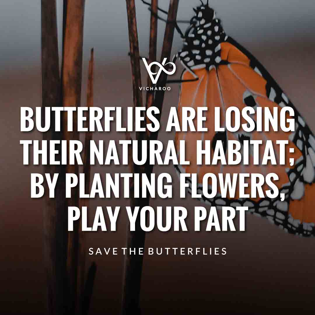 Butterflies are losing their natural habitat; by planting flowers, play your part | Save Butterfly Slogans and Quotes | National Learn About Butterflies Day