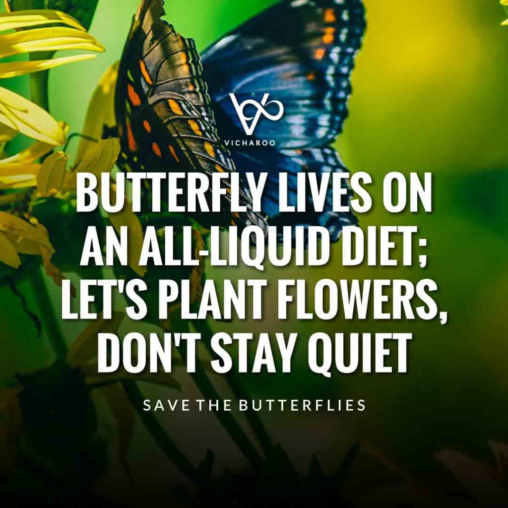 Butterfly lives on an all-liquid diet; let's plant flowers, don't stay quiet | Save Butterfly Slogans and Quotes | National Learn About Butterflies Day