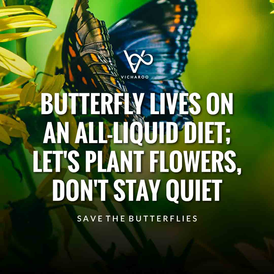 Butterfly lives on an all-liquid diet; let's plant flowers, don't stay quiet | Save Butterfly Slogans and Quotes | National Learn About Butterflies Day