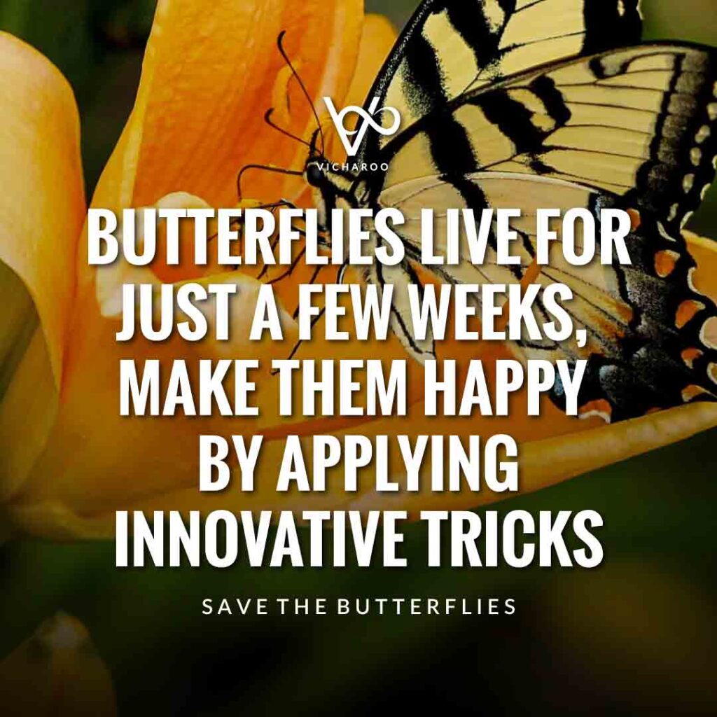 Butterflies live for just a few weeks, make them happy by applying innovative tricks | Save Butterfly Slogans and Quotes | National Learn About Butterflies Day