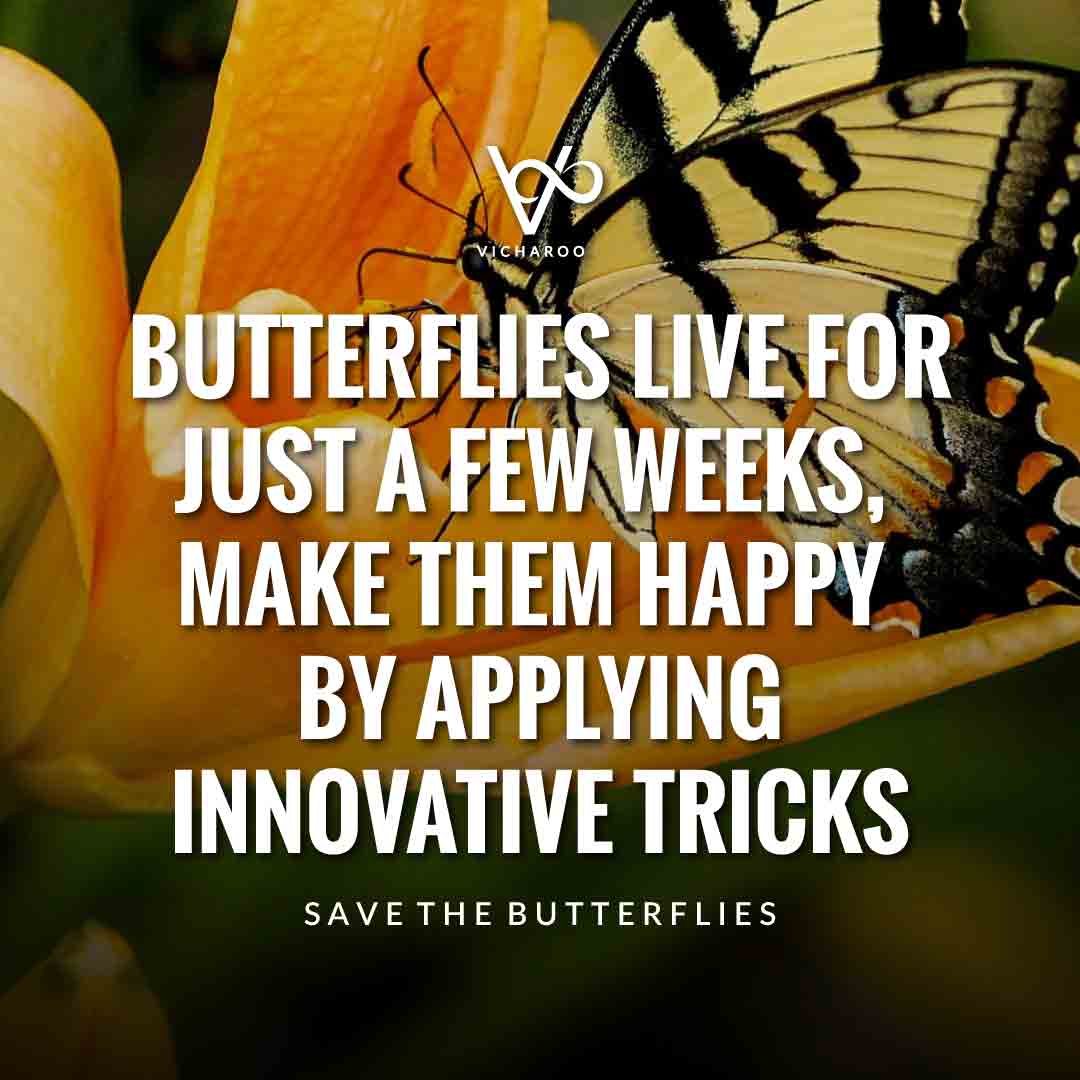 Butterflies live for just a few weeks, make them happy by applying innovative tricks | Save Butterfly Slogans and Quotes | National Learn About Butterflies Day
