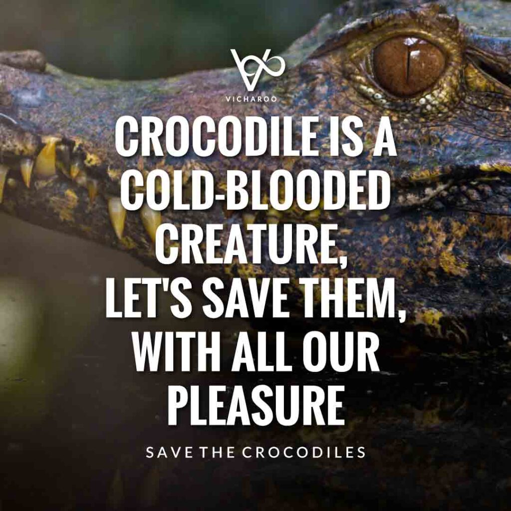 Crocodile is a cold-blooded creature, let's save them, with all our pleasure | Save Crocodiles Slogans and Quotes | World Crocodile Day | National Gator / Alligator Day