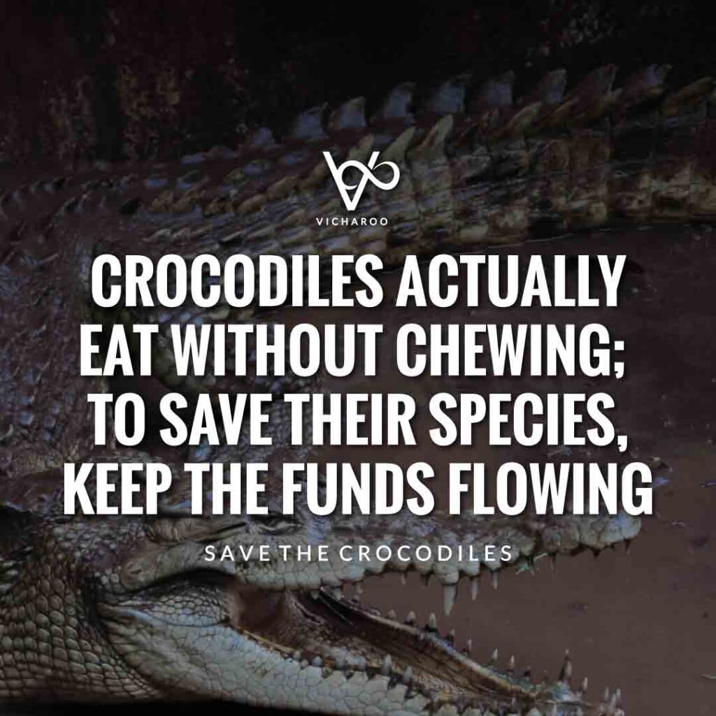 Crocodiles actually eat without chewing; to save their species, keep the funds flowing | Save Crocodiles Slogans and Quotes | World Crocodile Day | National Gator / Alligator Day