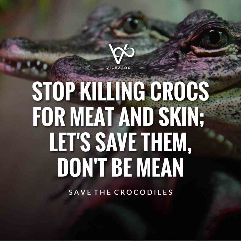 Stop killing crocs for meat and skin; let's save them, don't be mean | Save Crocodiles Slogans and Quotes | World Crocodile Day | National Gator / Alligator Day