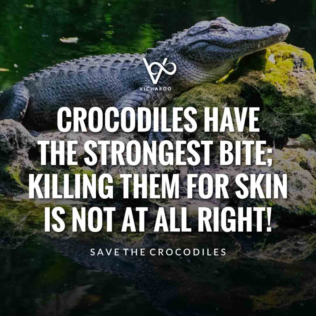 Crocodiles have the strongest bite; killing them for skin is, not at all right! | Save Crocodiles Slogans and Quotes | World Crocodile Day | National Gator / Alligator Day