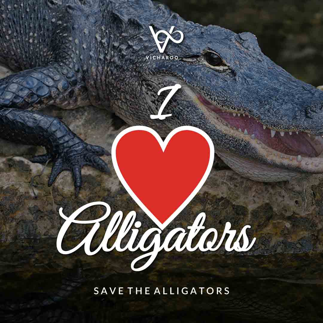 I live Alligators | Save Alligators Slogans and Quotes | National Gator / Alligator Day